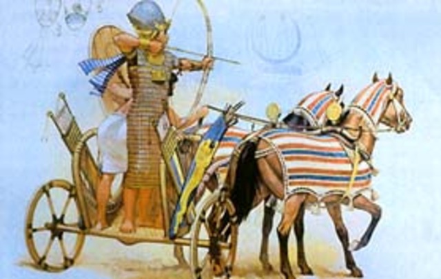 Domesticación del caballo 3.000 a. C