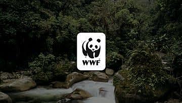 WWF