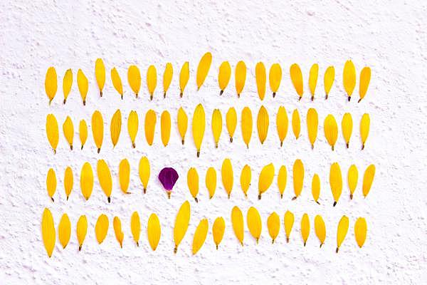 Teoria de rasgos de Cattell