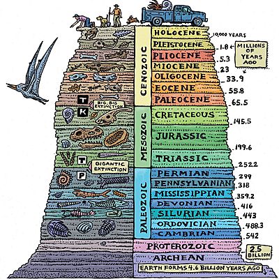 Timeline: les edats històriques