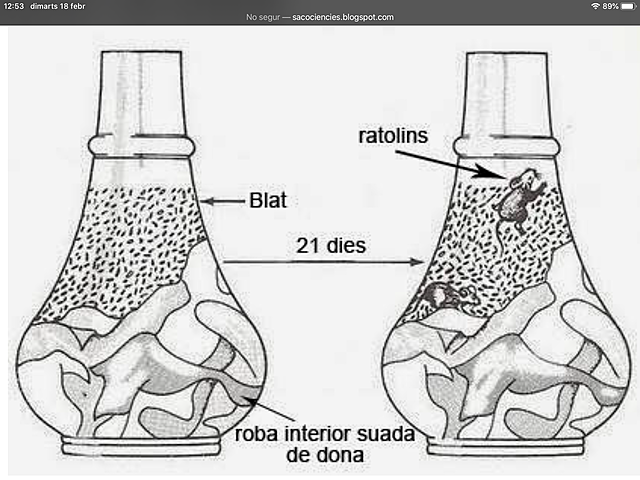 Generació espontània
