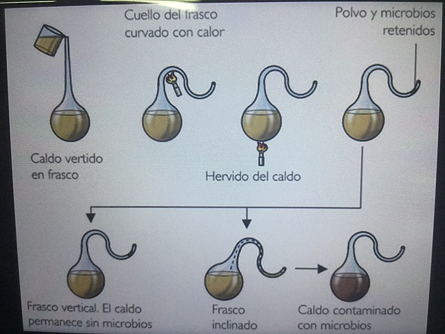 Demostració de Pasteur