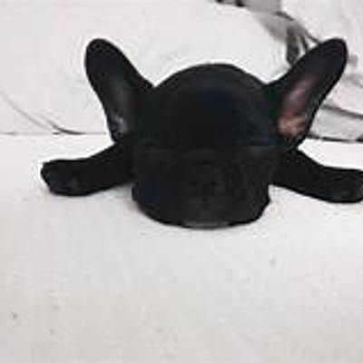 Timeline: Manuel,s life