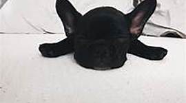 Timeline: Manuel,s life