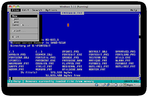 MS-DOS (Microsoft Disk Operating System)