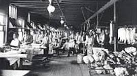 Timeline: Progressive Era