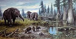 Tertiary New Era (Cenozoic)