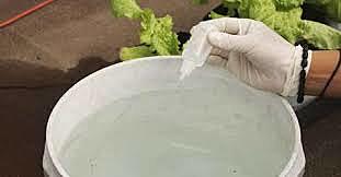 CHLORINE AS A WATER PURIFIER