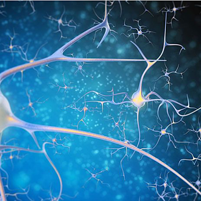 Timeline: Evolución Histórica de las Neurociencias.