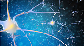 Timeline: Evolución Histórica de las Neurociencias.