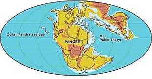 Formation of the continents