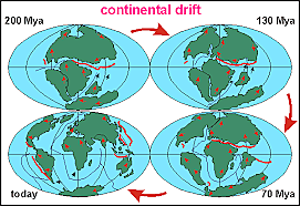 Continent on movement