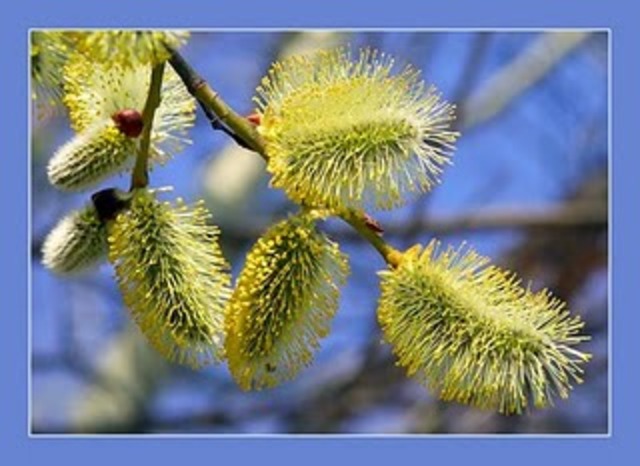 Великий Четверг