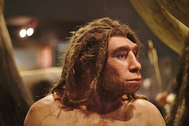 Homo Neanderthal (200.000 Antes de Nuestra Era)