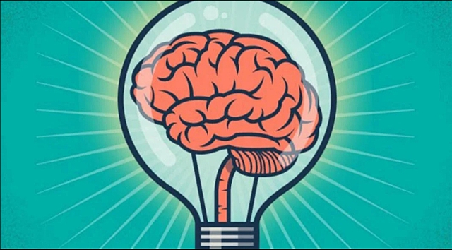 Doctrina Neuronal desde otros campos experimentales