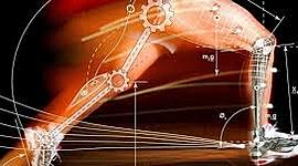 Timeline: HISTORIA DE LA BIOMECANICA