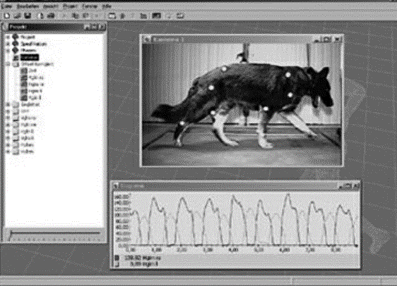 ARISTOTELES (384-322) A.C