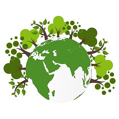 Timeline: Antecedentes de la Ecología