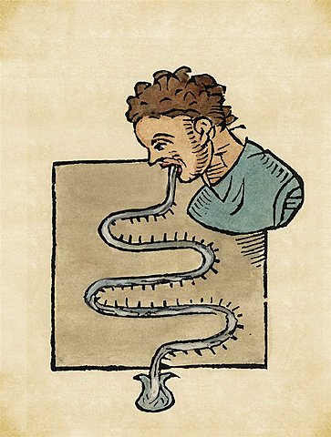 SANTORIO SANTORIO (1561-1636).