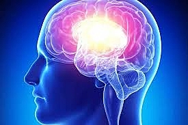 JOSEPH-LOUIS LAGRANGE (1736-1815).