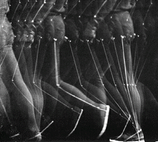 ÉTIENNE JULES MAREY (1839-1904)