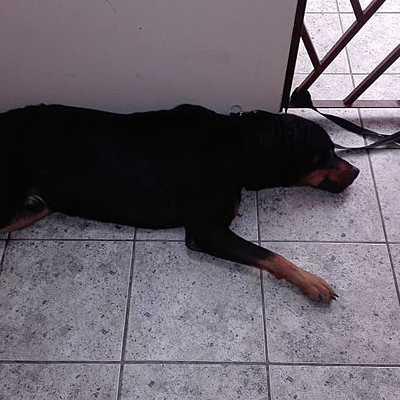 Timeline: La vida de Lucas