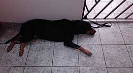 Timeline: La vida de Lucas