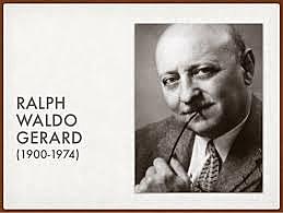 UNIDADES CURRICULARES