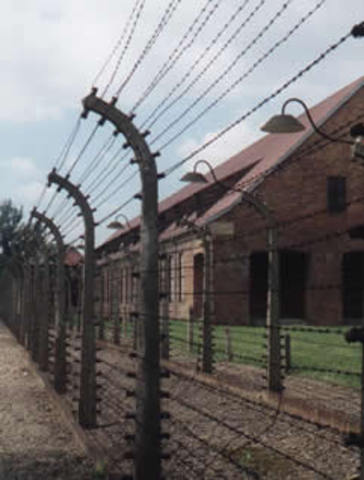 Hitler begins final solution  summer