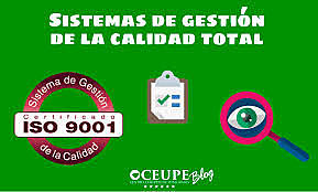 ETAPA DE LA GESTIÓN DE LA CALIDAD TOTAL O EXCELENCIA