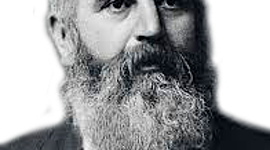 Timeline: la vida de Brian