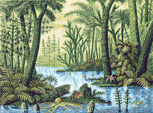 Carboniferous Period