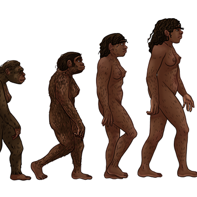 Timeline: Evolución humana a través de la historia