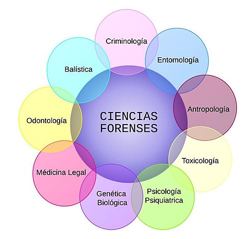 FACULTATIVOS FORENSES