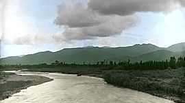 Timeline: Rio Medellín