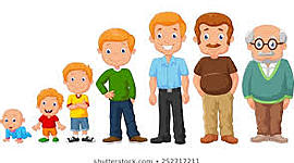 Timeline: DESARROLLO HUMANO (INFANCIA, ADOLESCENCIA...)