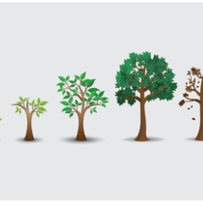 Timeline: Personal Timeline- Taylour Evans