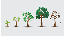 Timeline: Personal Timeline- Taylour Evans