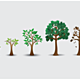 Free tree lifecycle vector 300x210