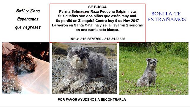 El día mas doloroso de mi vida.