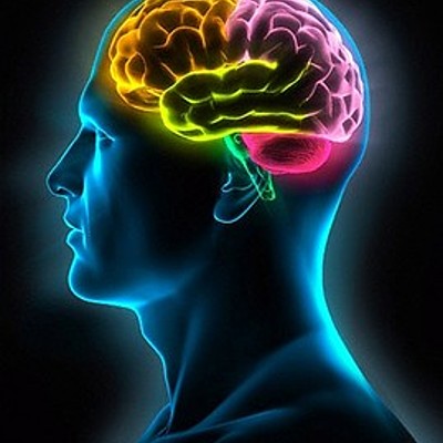 Timeline: Linea de tiempo teoria cognitivo conductual