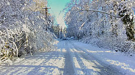 Timeline: La vida de Ethan