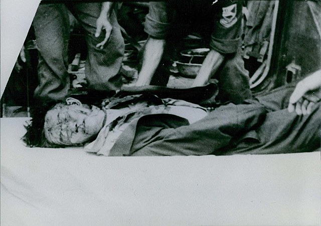 Ngo Dinh Diem Assassinated