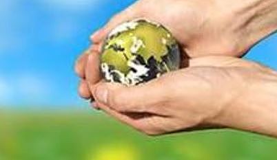 ENVIRONMENTAL IMPACT