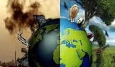 WORLD ENVIRONMENT MEETING