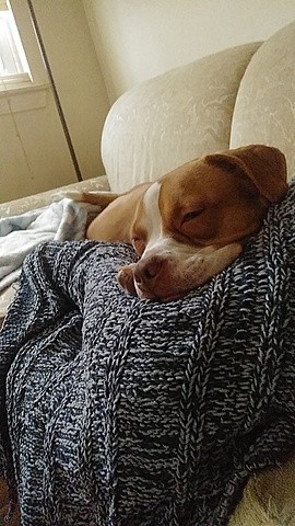 Getting my best friend