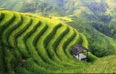 International seminar "Adaptation to climate change and development locomotives"