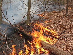 El Descubrimiento del fuego.