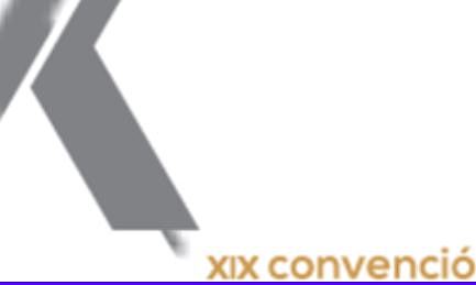 XIX Colombian Mining Congress