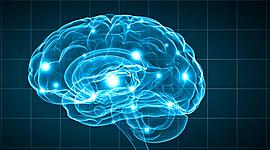 Timeline: Historia de las Neurociencias